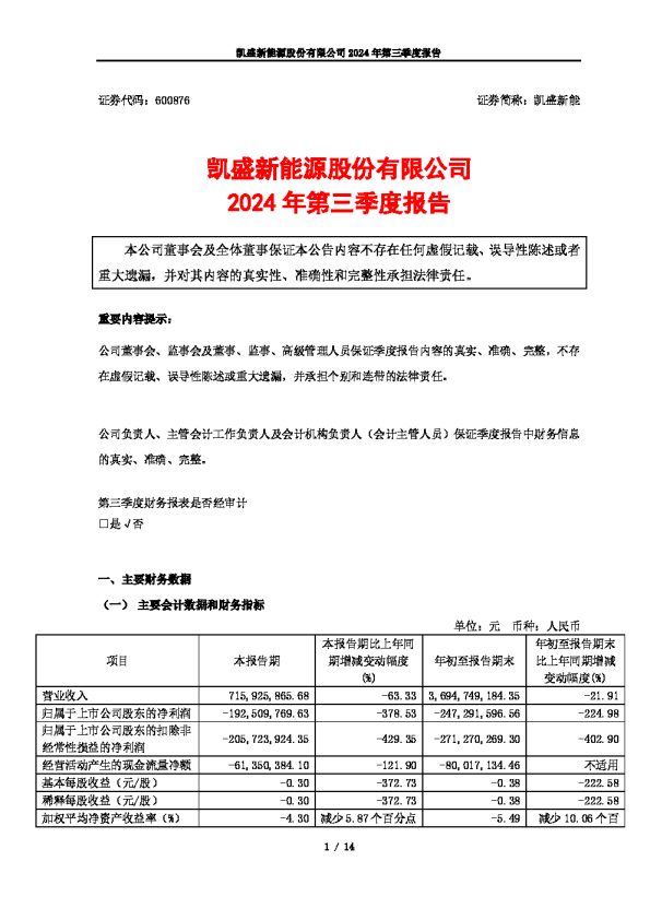 凯盛新能:凯盛新能2024年三季度报告