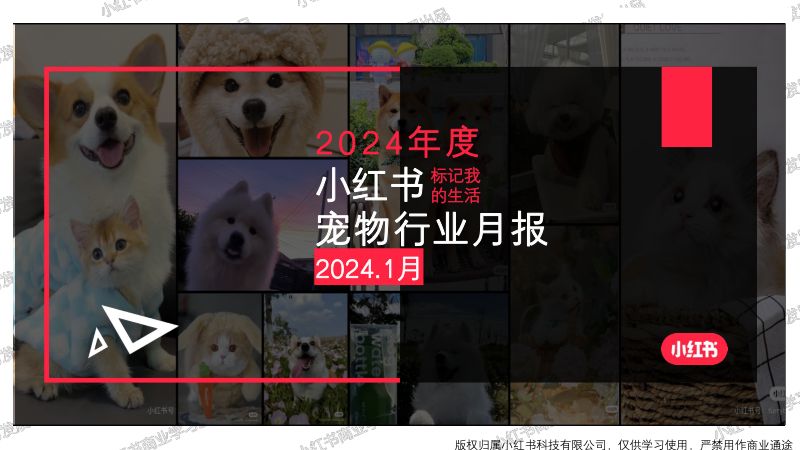 小红书:2023年1月小红书婚嫁(含写真)行业报告