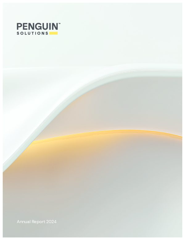 Penguin Solutions Inc 2023年度报告