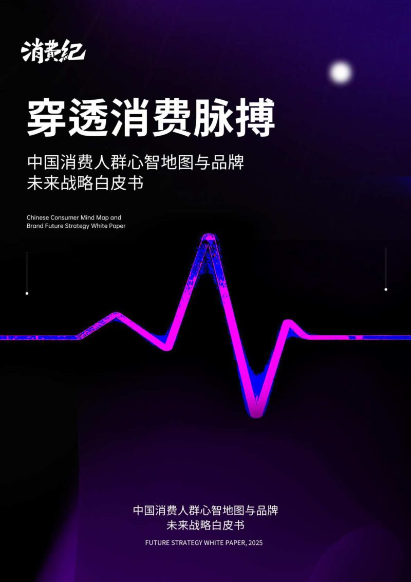 消费纪2025中国消费人群心智地图与品牌未来战略白皮书