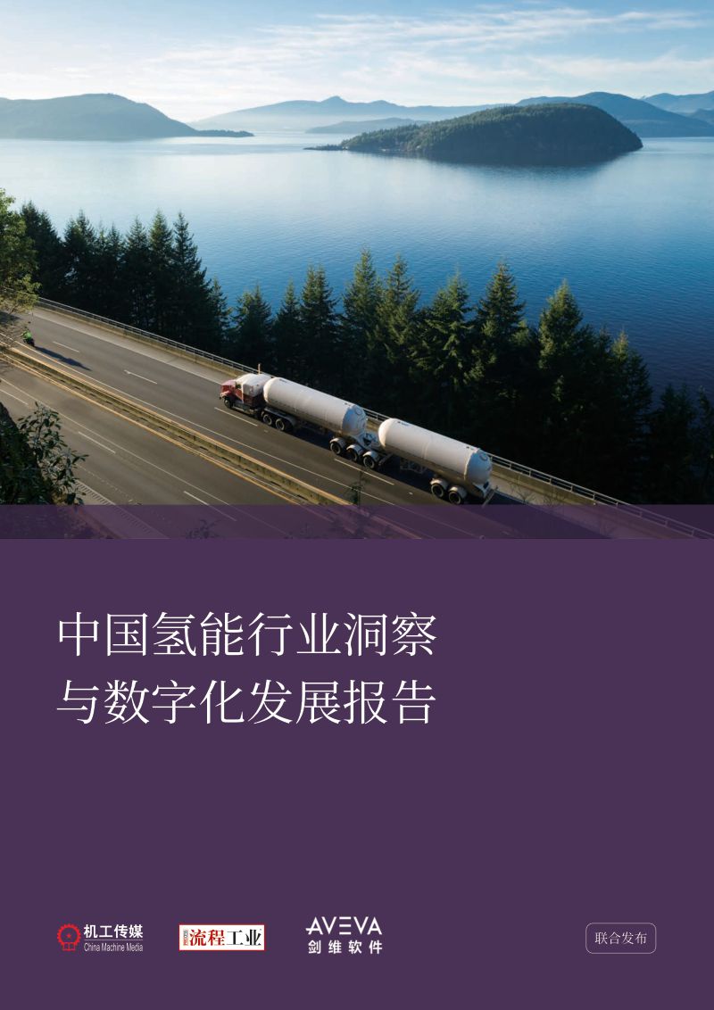 剑维软件:2023年中国氢能行业洞察与数字化发展报告(35页)