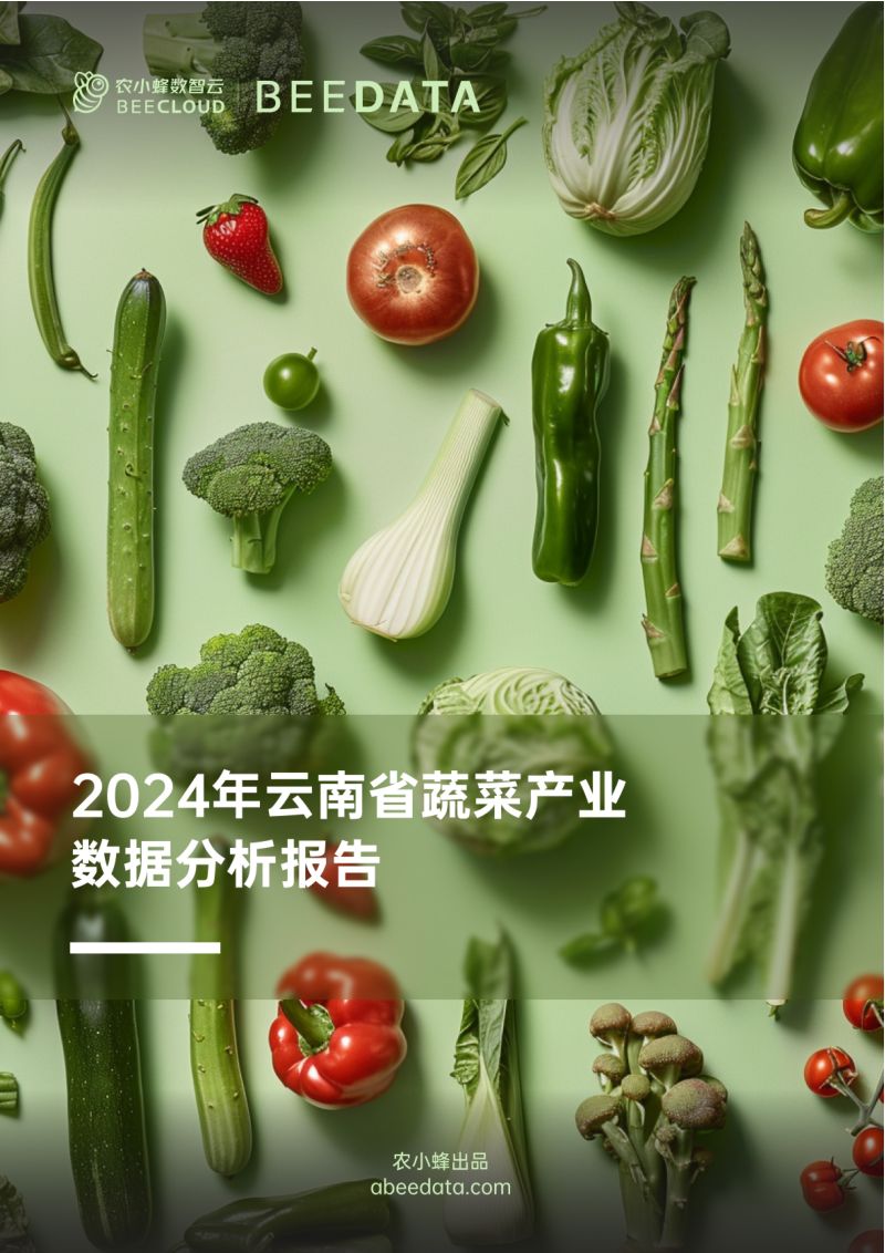 农小蜂-2024年云南省蔬菜产业数据分析报告