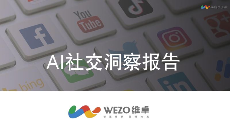 维卓:AI社交洞察报告2024(32页)