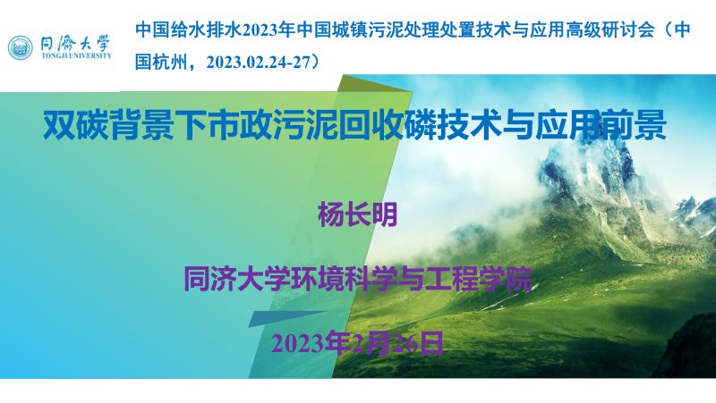 双碳背景下市政污泥回收磷技术与应用前景