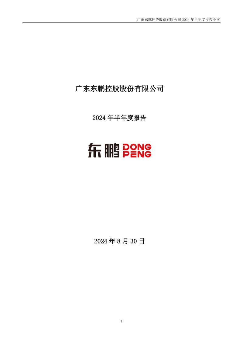 东鹏控股:2024年半年度报告