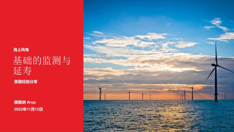 12雅纳基础的监测与延寿20221112CWEA