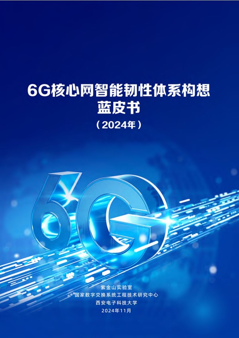 第四届网络空间内生安全学术大会:2024年6G核心网智能韧性体系构想蓝皮书(46页)