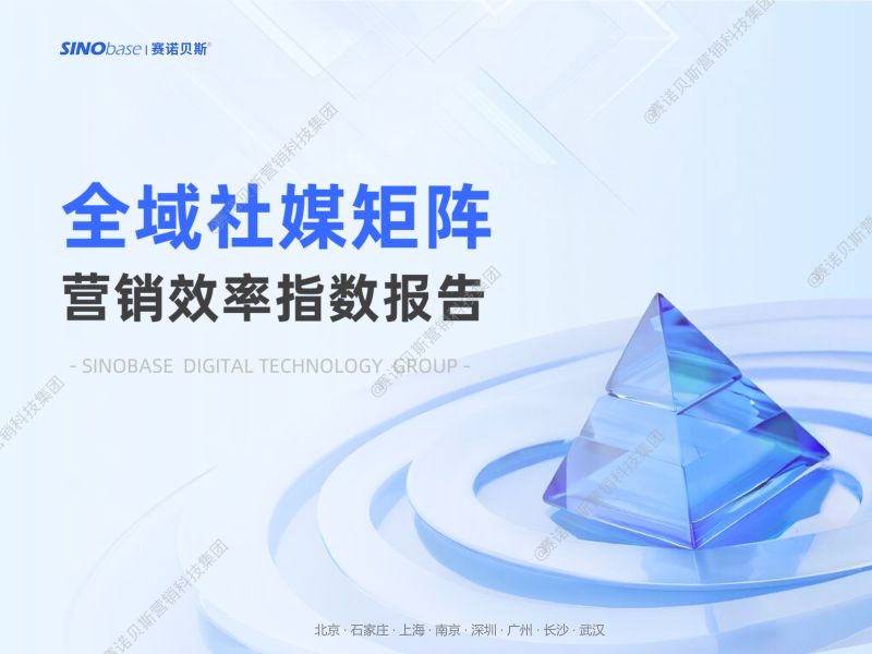 赛诺贝斯：2025全域社媒矩阵营销效率指数报告