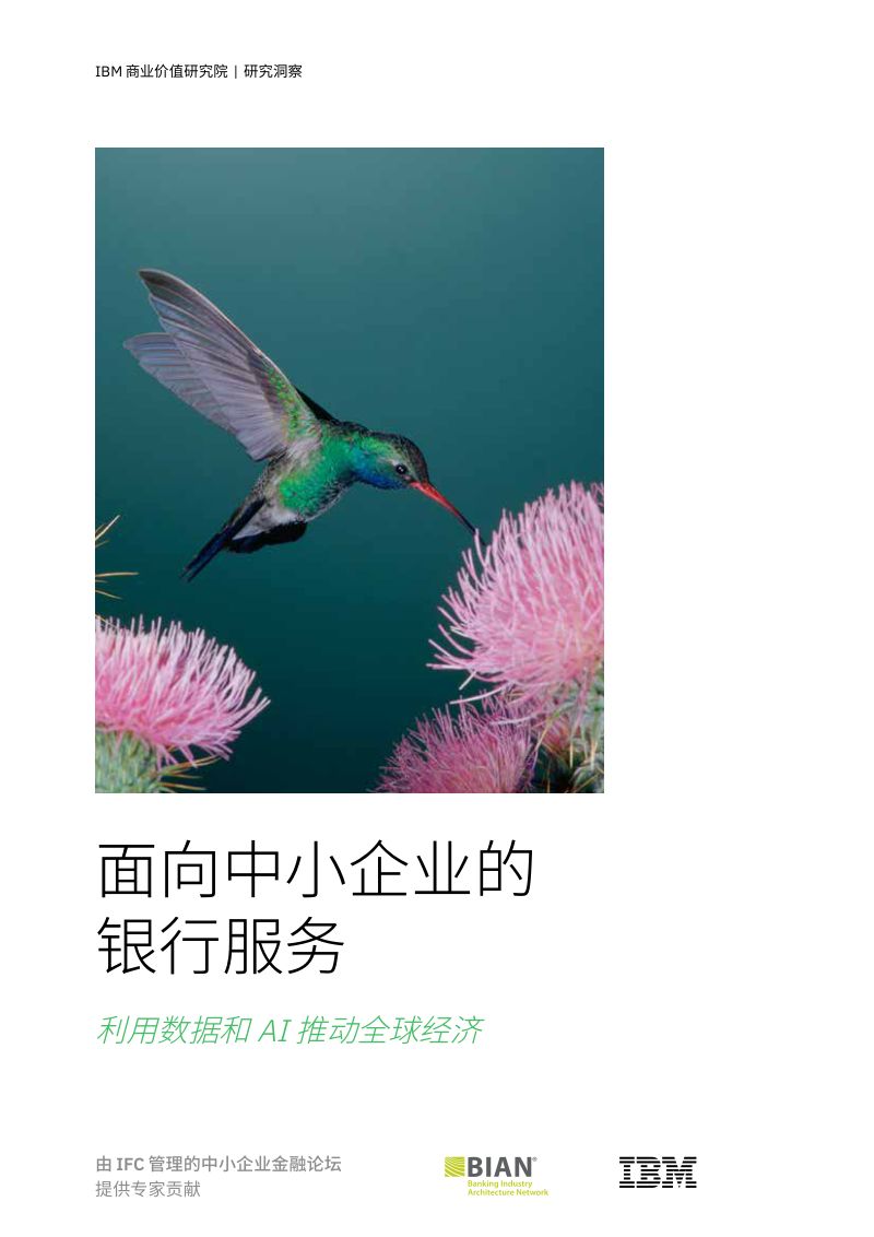 IBM：2024面向中小企业的银行服务：利用数据和AI推动全球经济研究报告（43页）