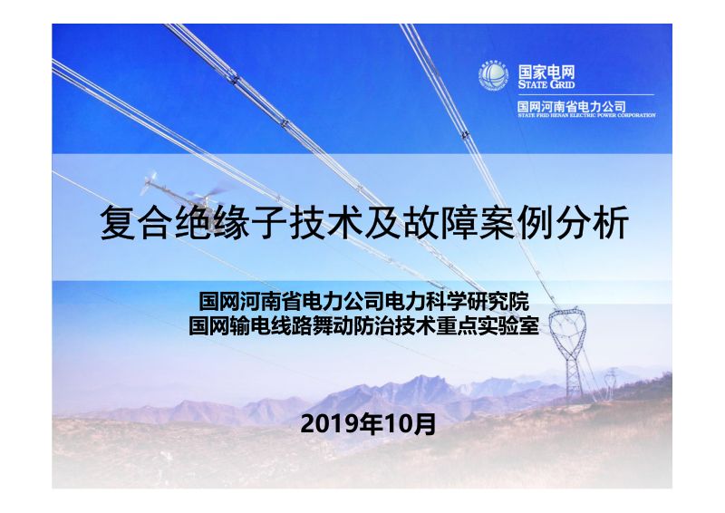 2019年复合绝缘子技术及故障案例分析