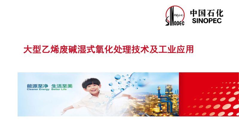 大型乙烯废碱湿式氧化处理技术及工业应用