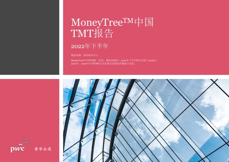 普华永道2022年度下半年MoneyTree中国TMT报告