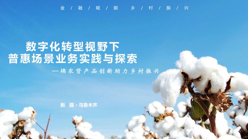 新疆银行2024数字化转型视野下普惠场景业务实践与探索-棉农贷产品创新助力乡村振兴