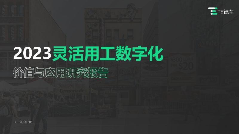 TE智库:2023灵活用工数字化价值与应用研究报告(36页)