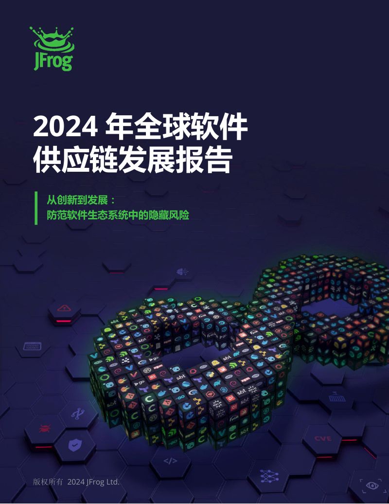 捷蛙：2024年全球软件供应链发展报告（34页）