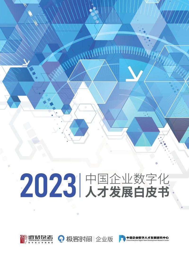 极客时间2023中国企业数字化人才发展白皮书