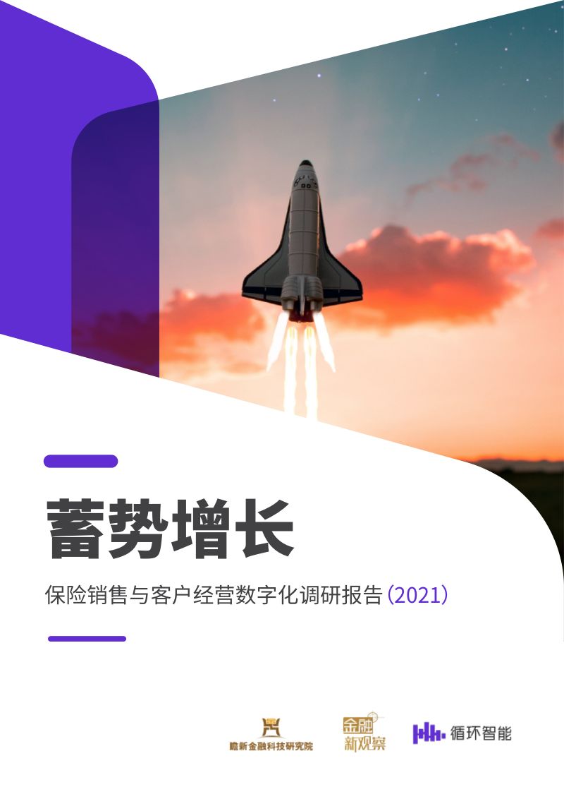 金融新观察：保险销售与客户经营数字化调研报告2021（30页）