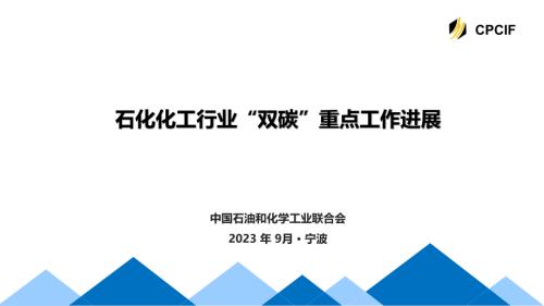 翁慧-石化化工行业双碳重点工作进展_CN