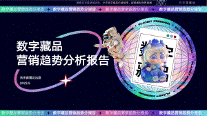 元宇宙雷达：2022数字藏品营销趋势分析报告（30页）