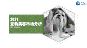 研精毕智信息咨询：2021中国宠物美容市场分析研究报告（11页）