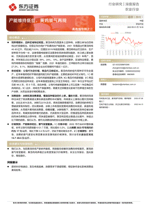 农业禽养殖专题之三：产能维持低位黄鸡景气再现-230115（20页）