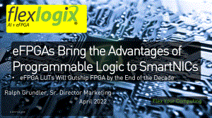 1B-101_eFPGAs Bring the Advantages of Programmable Logic to SmartNICs- FLEX LOGIX