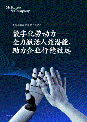 麦肯锡：2022数字化劳动力白皮书（26页）