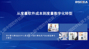 从度量软件成本到度量数字化转型-王智玉