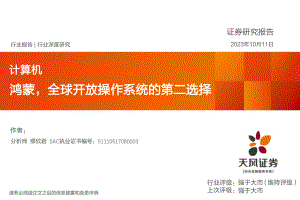 计算机行业：鸿蒙全球开放操作系统的第二选择-231011（17页）