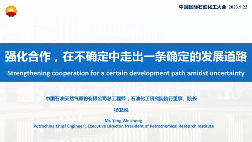 杨卫胜-强化合作在不确定中走出一条不确定的发展道路_EN