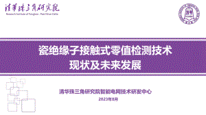 盘形悬式瓷绝缘子快速零值检测技术研究