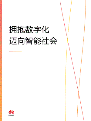 拥抱数字化迈向智能社会（101页）
