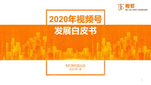 视灯数据：2020视频号发展白皮书（82页）