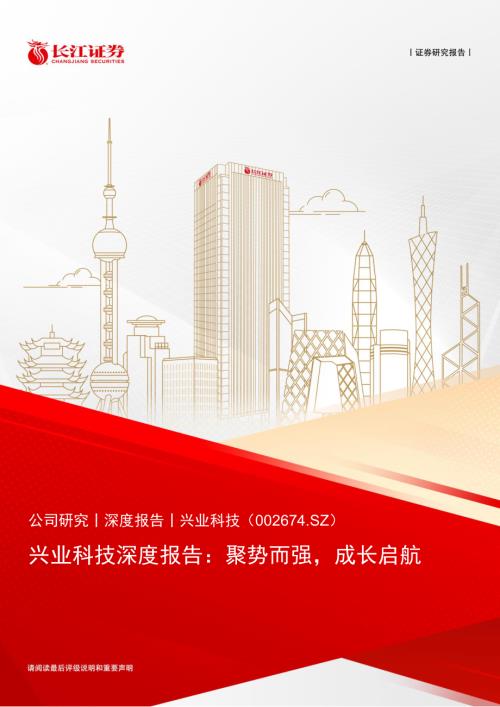 兴业科技-公司深度报告：聚势而强成长启航-240806（28页）