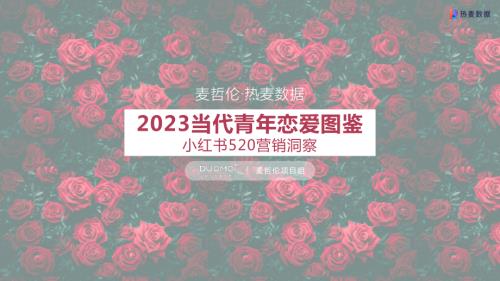 热麦数据:2023当代青年恋爱图鉴·小红书520营销洞察报告(17页)