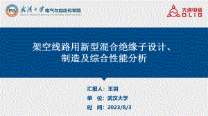 架空线路用免维护混合绝缘子设计、制造及综合性能分析