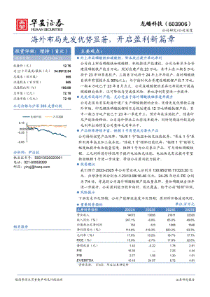 龙蟠科技-公司研究报告-海外布局先发优势显著开启盈利新篇章-230913(24页)