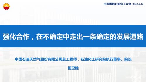 杨卫胜-强化合作在不确定中走出一条不确定的发展道路_CN