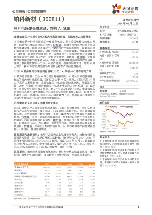 铂科新材-公司研究报告-芯片电感龙头供应商乘势AI浪潮-240602（20页）