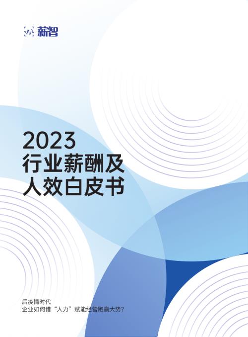 薪智：2023行业薪酬及人效白皮书（228页）
