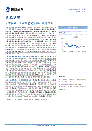 美容护理行业：培育钻石在新消费的浪潮中熠熠闪光-211220（34页）