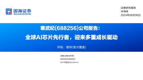 寒武纪-公司研究报告：全球AI芯片先行者迎来多重成长驱动-240606（40页）