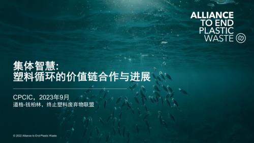 道格·钱伯林- 集体智慧-塑料循环的价值链合作与进展