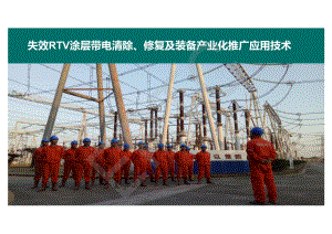 张平安--失效RTV涂层带电清除带电修复及装备产业化推广应用技术