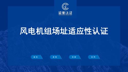 1机组风电场适应性认证介绍 V2.1