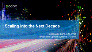 1SpecialPresentation3_Schaevitz.PPTX