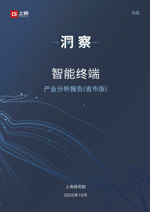 2022智能终端产业分析报告（27页）
