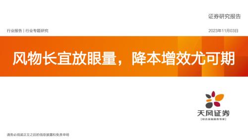 04-《风物长宜放眼量降本增效尤可期》-天风证券
