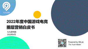 九九研究院：2022年度中国游戏电竞圈层营销白皮书（58页）