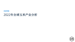 远瞩咨询：2022年全球玉米产业分析报告（34页）